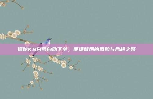 揭秘KS白号自助下单，便捷背后的风险与合规之路