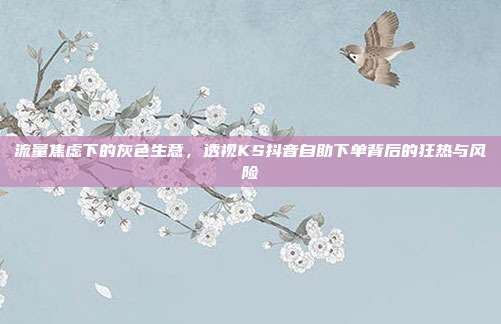 流量焦虑下的灰色生意，透视KS抖音自助下单背后的狂热与风险