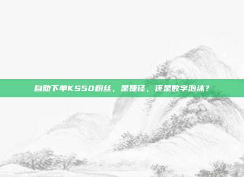 自助下单KS50粉丝，是捷径，还是数字泡沫？