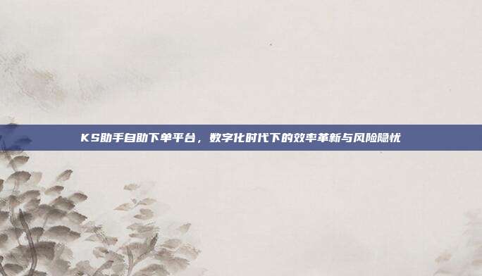 KS助手自助下单平台，数字化时代下的效率革新与风险隐忧