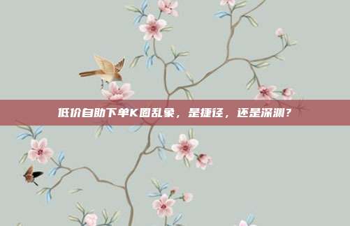 低价自助下单K圈乱象，是捷径，还是深渊？