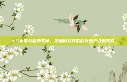 KS小号与自助下单，流量游戏背后的灰色产业链观察