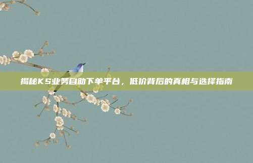 揭秘KS业务自助下单平台，低价背后的真相与选择指南