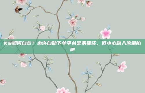 KS如何自救？也许自助下单平台是条捷径，但小心踏入流量陷阱