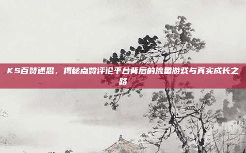 KS百赞迷思，揭秘点赞评论平台背后的流量游戏与真实成长之路