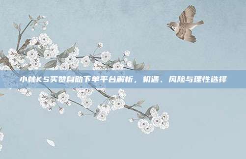 小林KS买赞自助下单平台解析，机遇、风险与理性选择