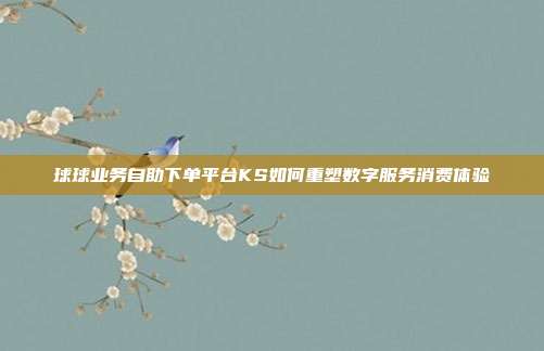球球业务自助下单平台KS如何重塑数字服务消费体验