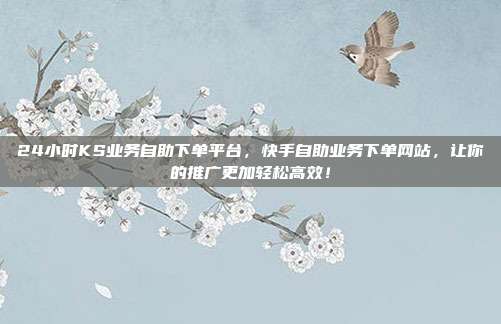 24小时KS业务自助下单平台,快手自助业务下单网站,让你的推广更加轻松高效!