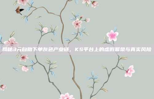 揭秘3元自助下单灰色产业链，KS平台上的虚假繁荣与真实风险