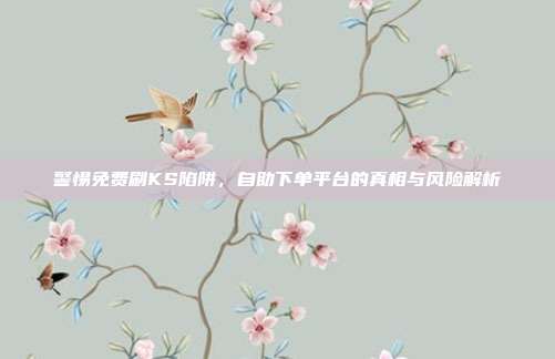 警惕免费刷KS陷阱，自助下单平台的真相与风险解析