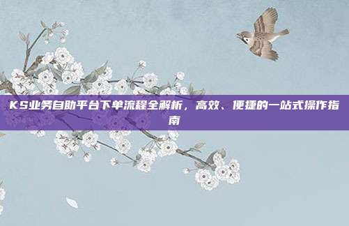 KS业务自助平台下单流程全解析，高效、便捷的一站式操作指南