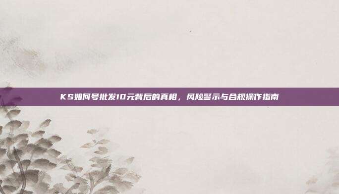 KS如何号批发10元背后的真相，风险警示与合规操作指南