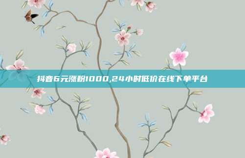 抖音6元涨粉1000,24小时低价在线下单平台
