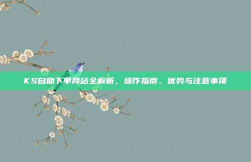 KS自助下单网站全解析，操作指南、优势与注意事项