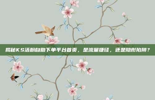 揭秘KS活粉自助下单平台首页，是流量捷径，还是隐形陷阱？