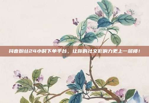 抖音粉丝24小时下单平台,让你的社交影响力更上一层楼!