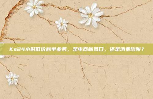 Ks24小时低价秒单业务，是电商新风口，还是消费陷阱？