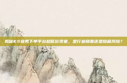 揭秘KS业务下单平台超低价现象，是行业颠覆还是隐藏风险？