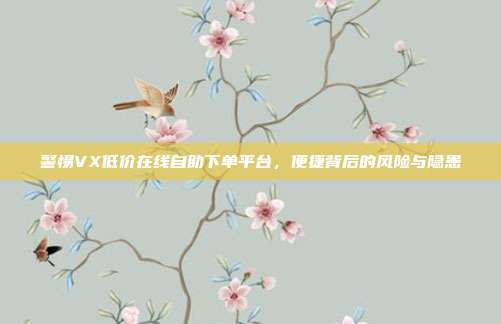 警惕VX低价在线自助下单平台，便捷背后的风险与隐患