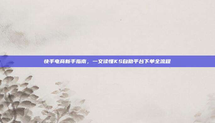 快手电商新手指南，一文读懂KS自助平台下单全流程