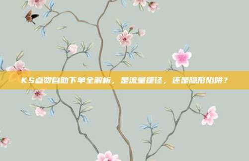 KS点赞自助下单全解析，是流量捷径，还是隐形陷阱？