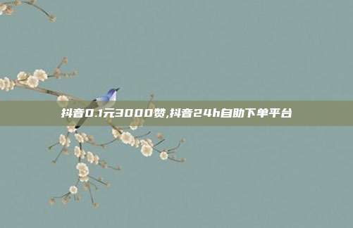 抖音0.1元3000赞,抖音24h自助下单平台