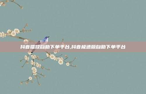 抖音播放自助下单平台,抖音极速版自助下单平台