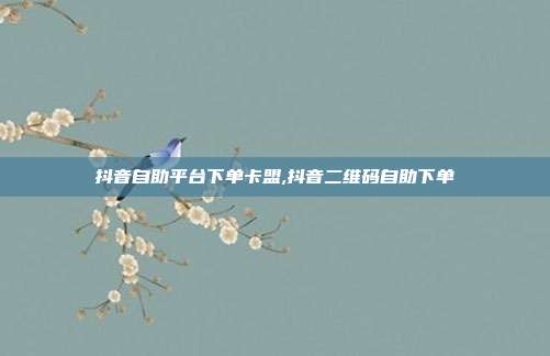 抖音自助平台下单卡盟,抖音二维码自助下单