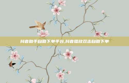 抖音助手自助下单平台,抖音播放双击自助下单