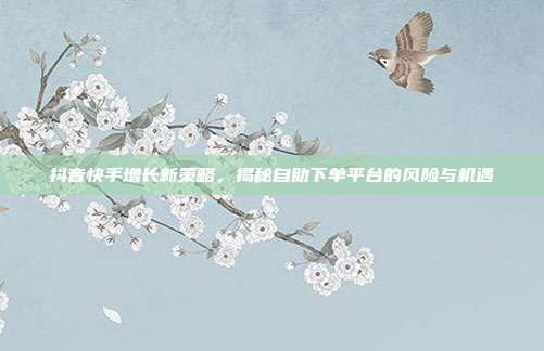 抖音快手增长新策略，揭秘自助下单平台的风险与机遇