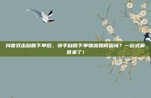 抖音双击自助下单后，快手自助下单物流如何查询？一站式解答来了！