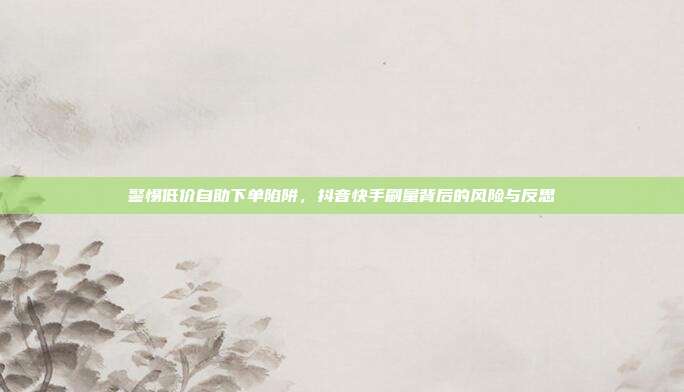 警惕低价自助下单陷阱，抖音快手刷量背后的风险与反思