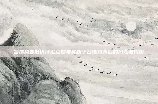 警惕抖音低价评论点赞与买粉平台链接背后的风险与代价