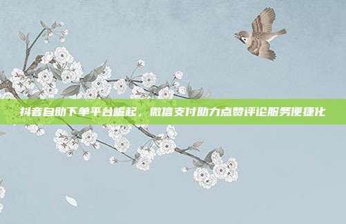 抖音自助下单平台崛起，微信支付助力点赞评论服务便捷化