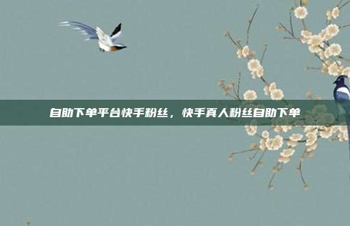 自助下单平台快手粉丝,快手真人粉丝自助下单