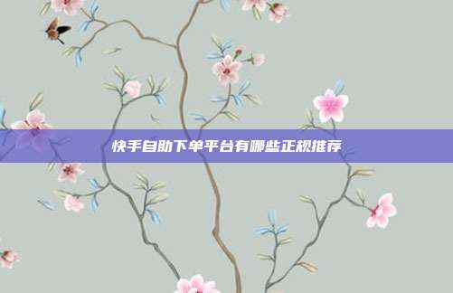 快手自助下单平台有哪些正规推荐