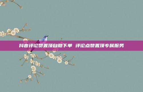 抖音评论赞置顶自助下单 评论点赞置顶专属服务