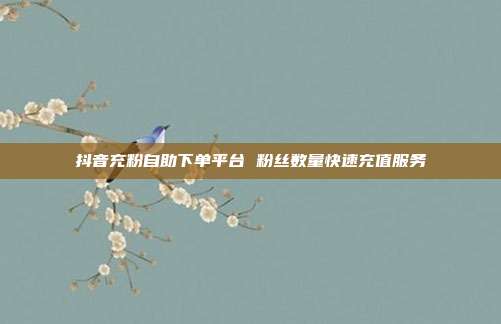 抖音充粉自助下单平台 粉丝数量快速充值服务