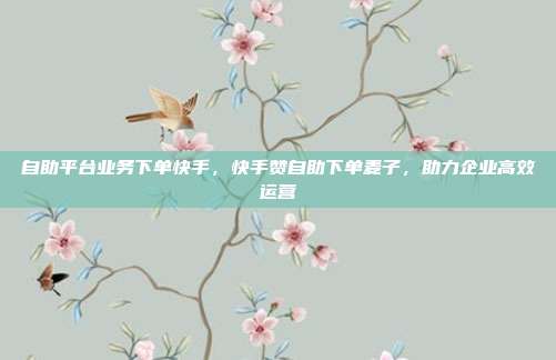 自助平台业务下单快手,快手赞自助下单麦子,助力企业高效运营