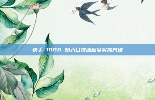 快手 1000 粉入口快速起号实操方法