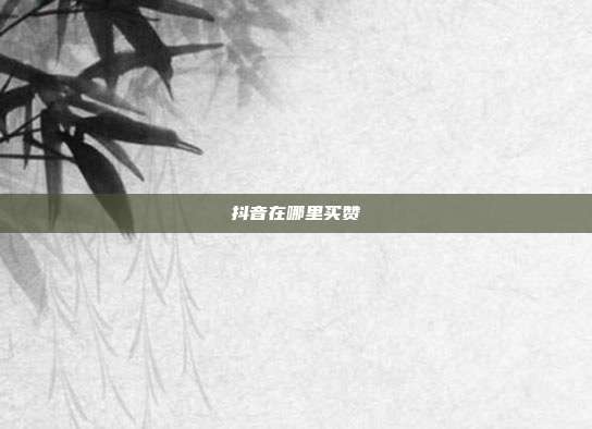 抖音在哪里买赞