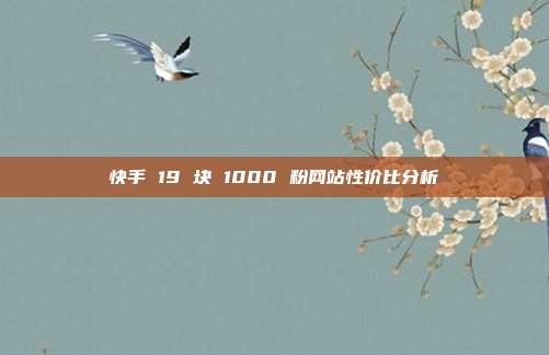 快手 19 块 1000 粉网站性价比分析