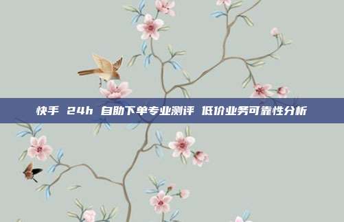 快手 24h 自助下单专业测评 低价业务可靠性分析
