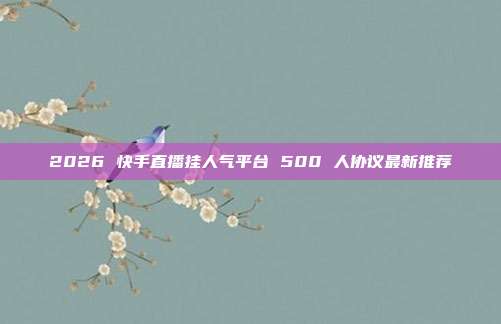 2026 快手直播挂人气平台 500 人协议最新推荐