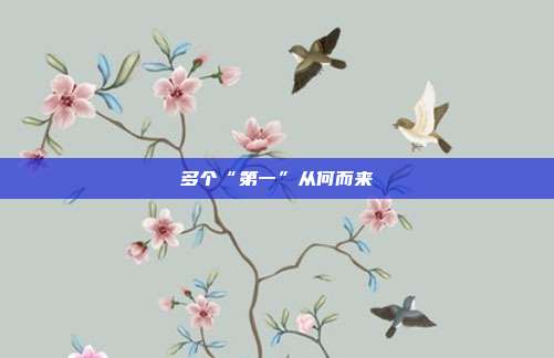 多个“第一”从何而来