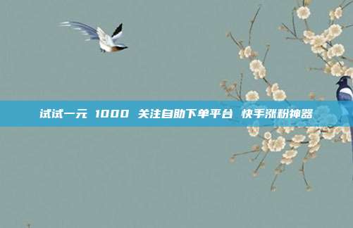 试试一元 1000 关注自助下单平台 快手涨粉神器