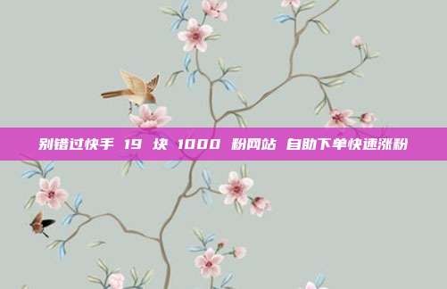 别错过快手 19 块 1000 粉网站 自助下单快速涨粉