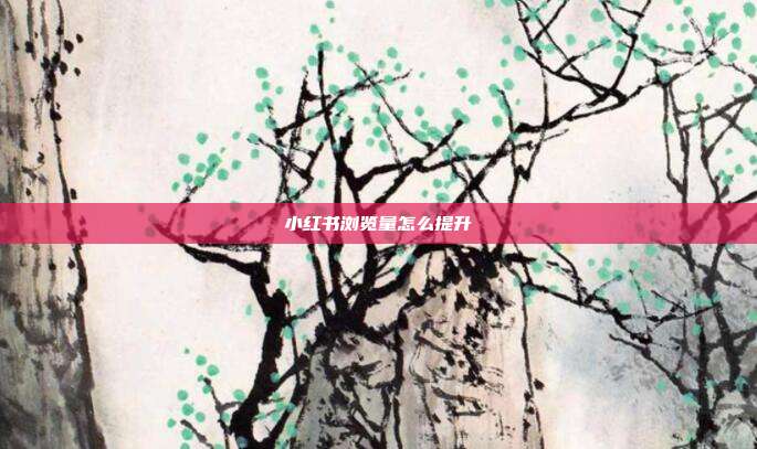 小红书浏览量怎么提升
