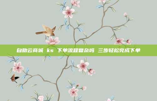自助云商城 ks 下单流程复杂吗 三步轻松完成下单