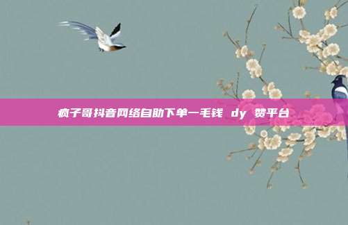 疯子哥抖音网络自助下单一毛钱 dy 赞平台
